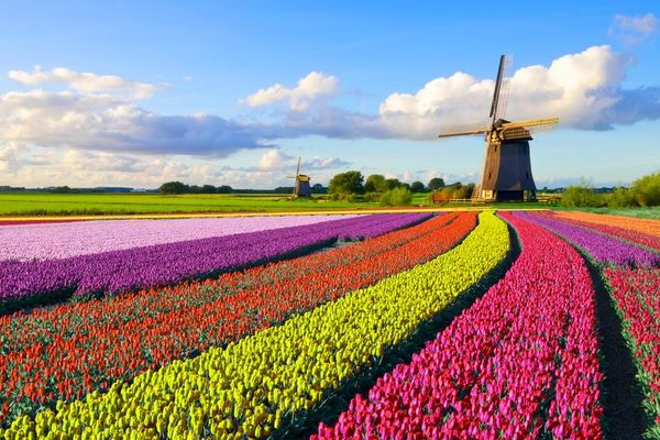 DoorDash Transforms Experimentation with Multi-Armed Bandits, Moving Beyond Traditional A/B Testing