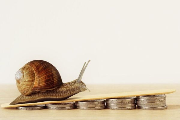 Enough with the AI FOMO, go slow‑mo, says Domo CDO