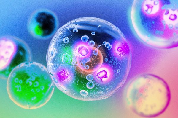 Phase‑Separated Kinase Droplets Accelerate Cellular Signaling, Offering New Angles for Cancer Therapy