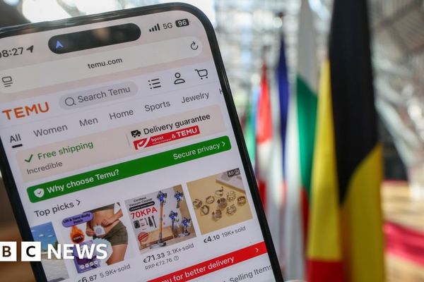 EU Slaps €200 million Fine on Temu Over Unsafe Goods