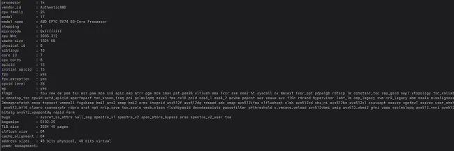 AMD EPYC 9V74 CPU information