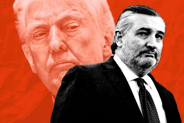 Cruz's Tariff Critique Exposes GOP Rifts With Tech Industry Implications