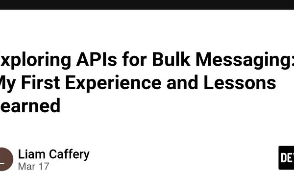 Building Bulk Messaging Services: Lessons from My First API Integration