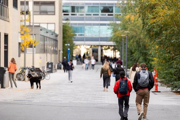 MIT's Comprehensive Measures to Support Jewish Community and Combat Antisemitism