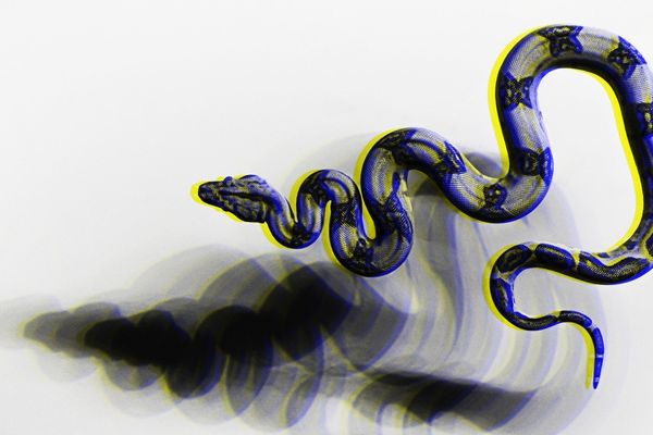 Fake PyPI Site Targets Python Developers in Credential Phishing Campaign