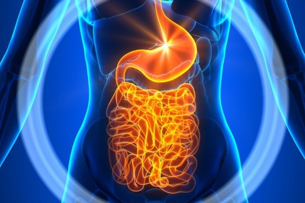Fecal microbiota transplants show modest, sustained symptom reduction in autism trials