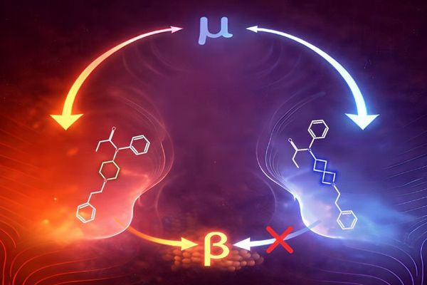 Fentanyl Makeover: Core Structural Redesign Could Lead to Safer Pain Medications