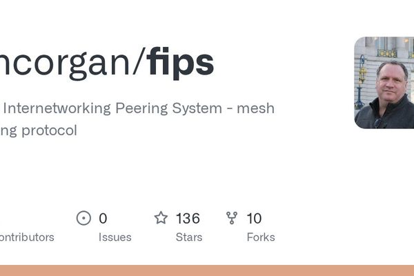 FIPS: A Self-Organizing Mesh Network for the Decentralized Internet