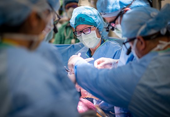 World's First In-Utero Stem Cell Therapy for Spina Bifida Shows Promising Safety Results