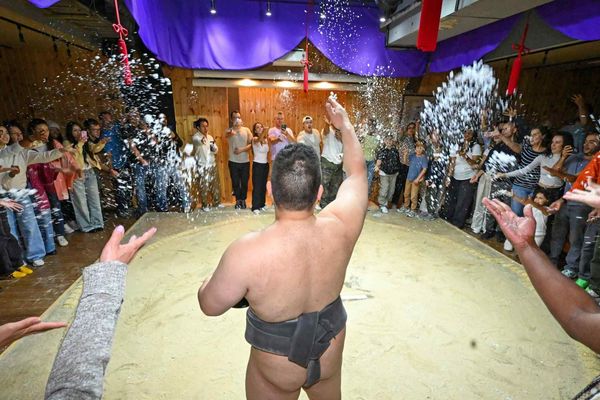 Sumo Tourism Emerges as Lucrative Niche for Japan's Travel Industry