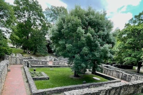 Beyond Technical Debt: The Hidden Drivers of Software Development Challenges