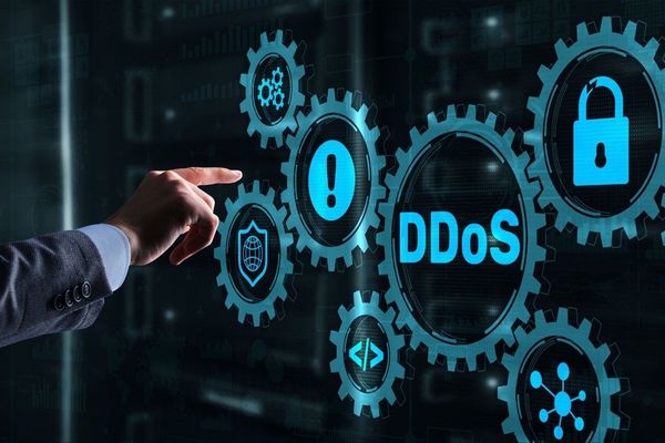 From $5 Attacks to Botnet-Powered Platforms: Inside the DDoS-as-a-Service Market