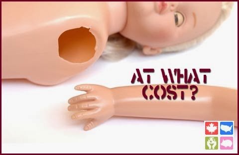 [credit http://www.ecobabysteps.com/wp-content/uploads/2012/10/at-what-cost-quality.jpg]