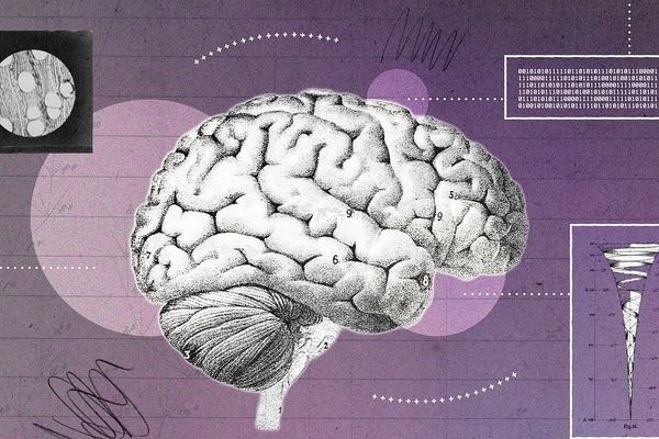 From Alchemy to Algorithm: The Framework That Transforms Science