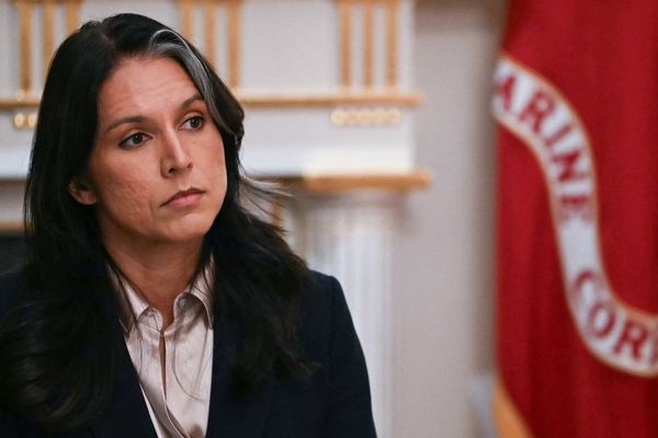 Gabbard Reveals Trump Asked Her to Attend Georgia Elections Hub FBI Raid