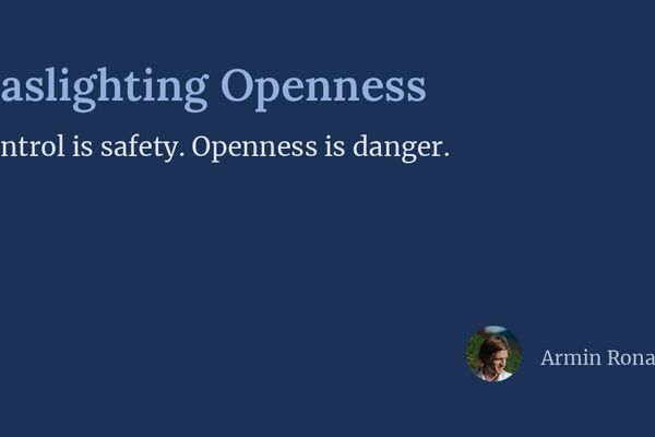 Armin Ronacher on "Gaslighting Openness": When Restricting Access Gets Sold as Safety
