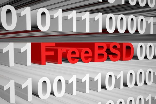 GhostBSD ditches Xorg for XLibre as Red Hat's Wayland push leaves X11 fans out in the cold