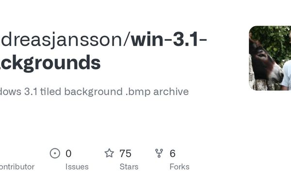 The Windows 3.1 Background Archive: A Digital Time Capsule of Early Computing Aesthetics