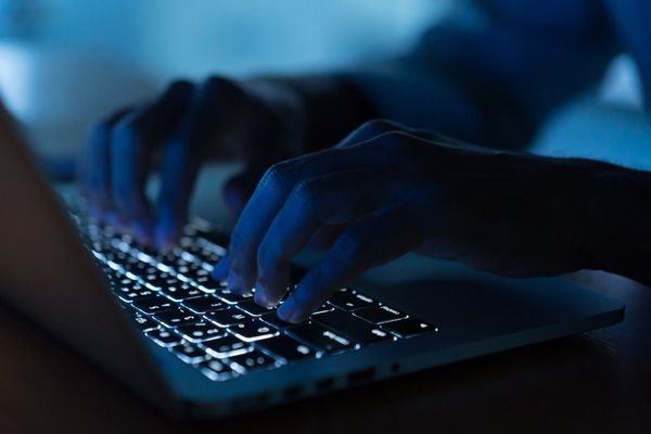 GitHub Data Shows AI Tools Creating "Convenience Loops" That Reshape Developer Language Choices