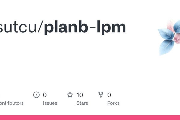 planb-lpm: A Practical Implementation of IPv6 Longest-Prefix Match with SIMD Optimization