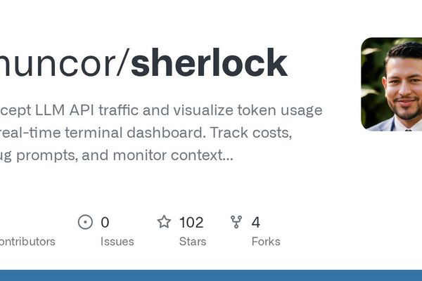 Sherlock: Open Source Tool for Monitoring LLM API Traffic and Token Usage