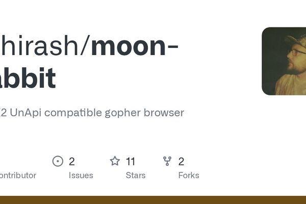 Reviving Retro Networking: Moon Rabbit Brings Gopher Protocol to MSX2 Computers