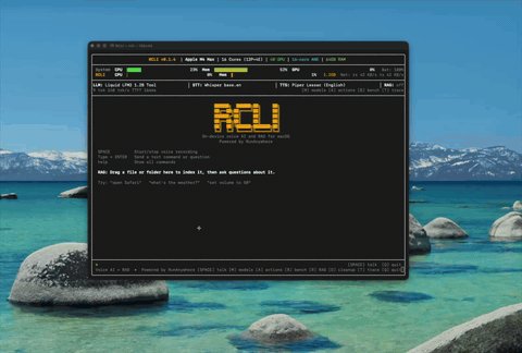 Models & Benchmarks Demo