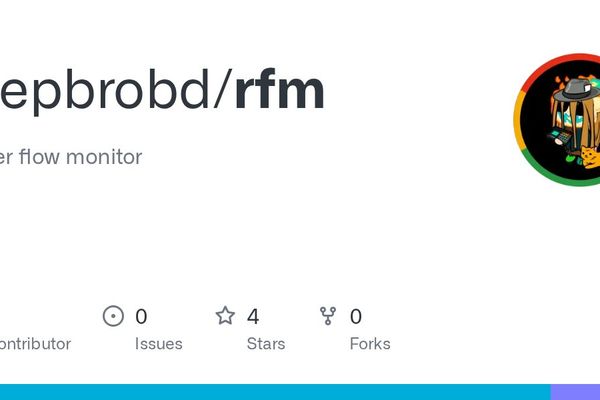 RFM: Revolutionizing Network Flow Monitoring with eBPF