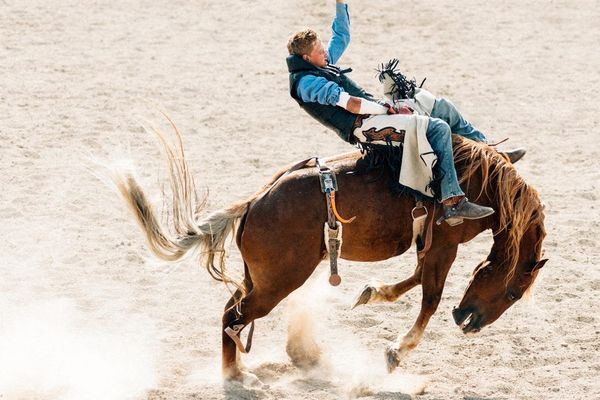 Global Standards Bodies Unite to Rein in AI's Wild West with Provenance and Authentication Frameworks