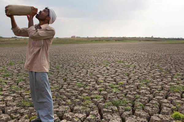 El Niño’s ‘Godzilla’ Heat Threatens Crop Yields and Fertilizer Markets from India to Australia