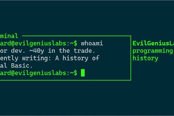 Good developers learn to program. Most courses teach a language.