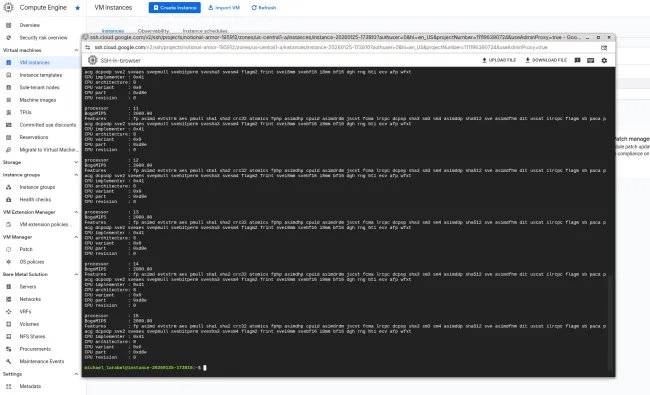 Google N4A instance with Axion Neoverse N3 CPUs /proc/cpuinfo