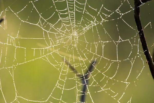 Google Enhances Gemini CLI Conductor with Automated Code Review