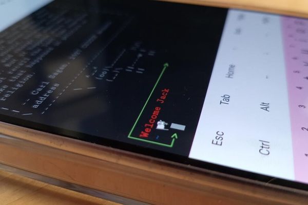 Google's New Linux Terminal App: Unlocking Native Android Development on Device