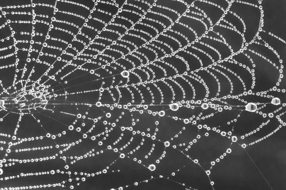 Google Gemini AI Agents Deploy to Dark Web for Threat Intelligence