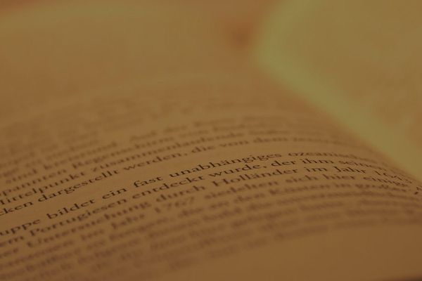 GPT-5 Model Showdown: Cost, Speed and Pelican Artistry Revealed in Unconventional Benchmark