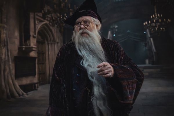 HBO casts Colin Creevey for Harry Potter Season 2, sparking faithful adaptation hopes
