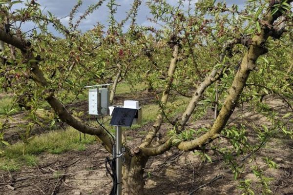 Google's AI Precision Agriculture Initiative Transforms Water Management in Belgium's Scheldt Basin