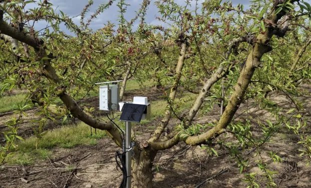 Agrow’s technology platform integrates climate, water and soil data from satellite and thermal imagery to provide precise irrigation and fertilization recommendations.