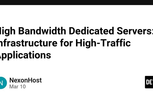 High Bandwidth Dedicated Servers: Infrastructure for High-Traffic Applications