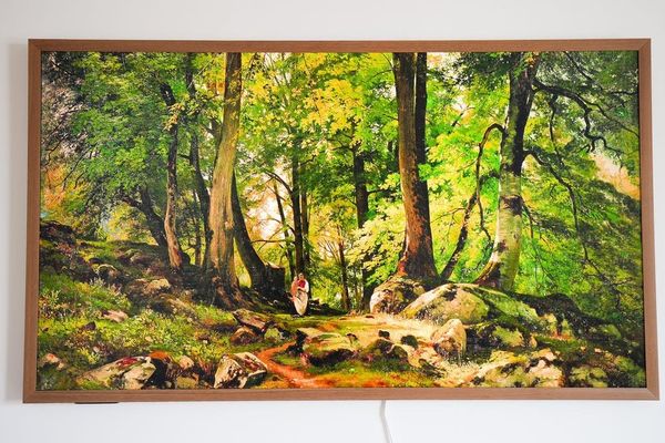 Hisense TV Lineup 2025: From Budget to Premium, the Best Models for Every Use Case