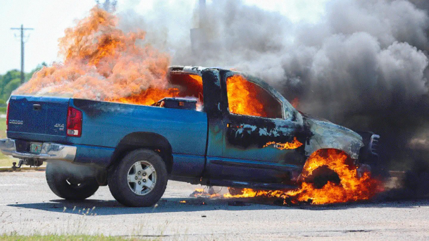 Nope, not this sort of RAM. (Source: NorthEscambia.com)