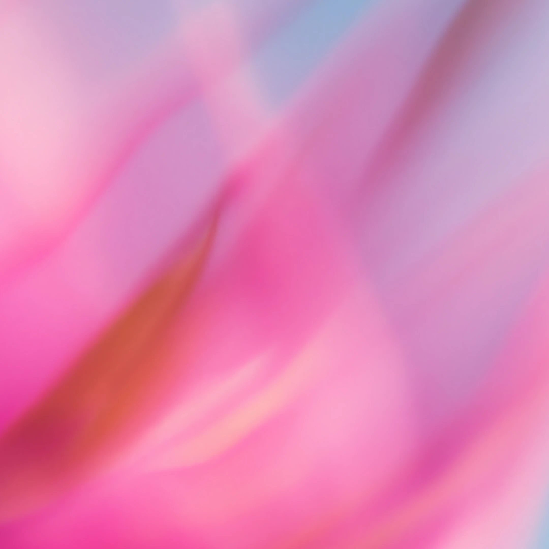 Stargate Community > card image