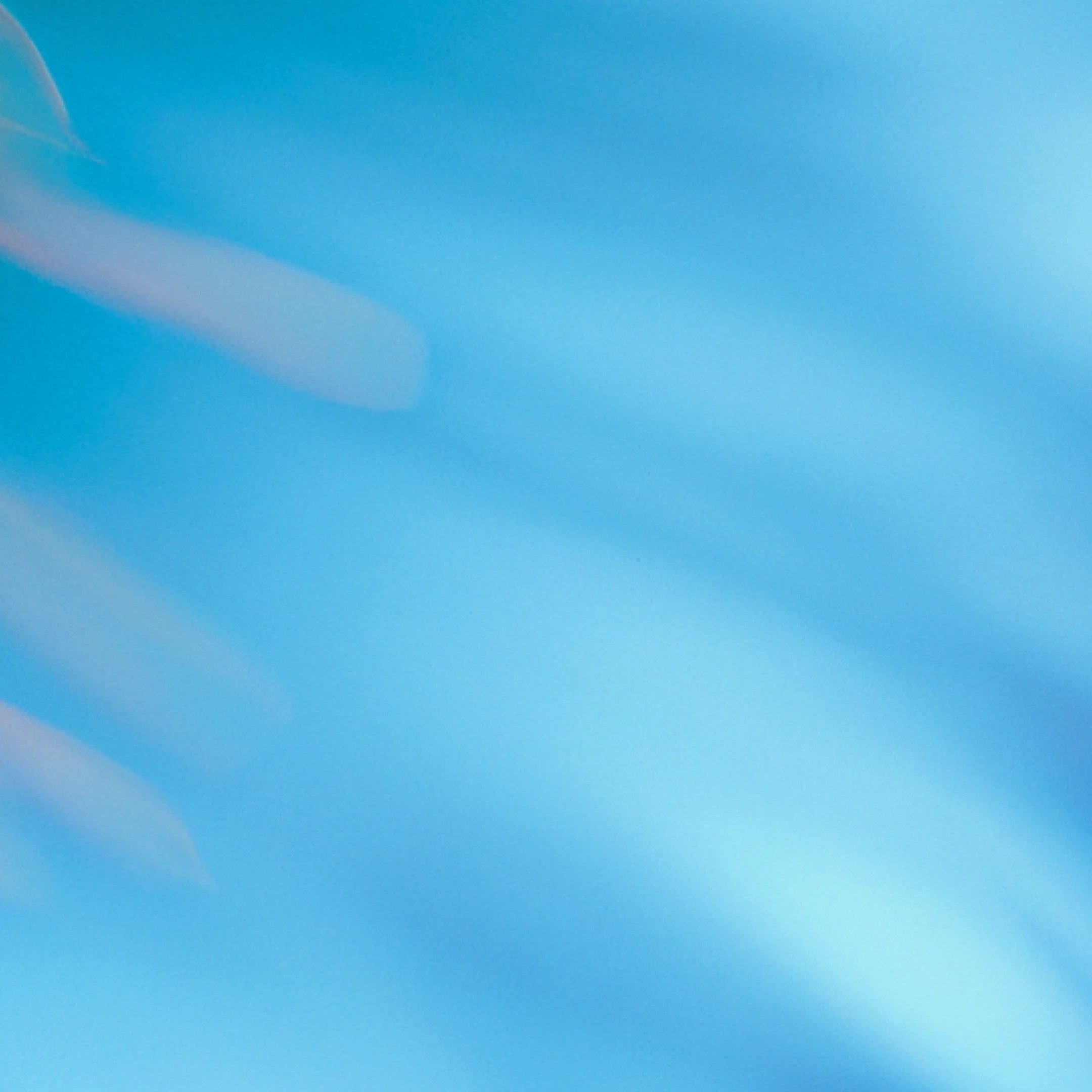 servicenow > card image