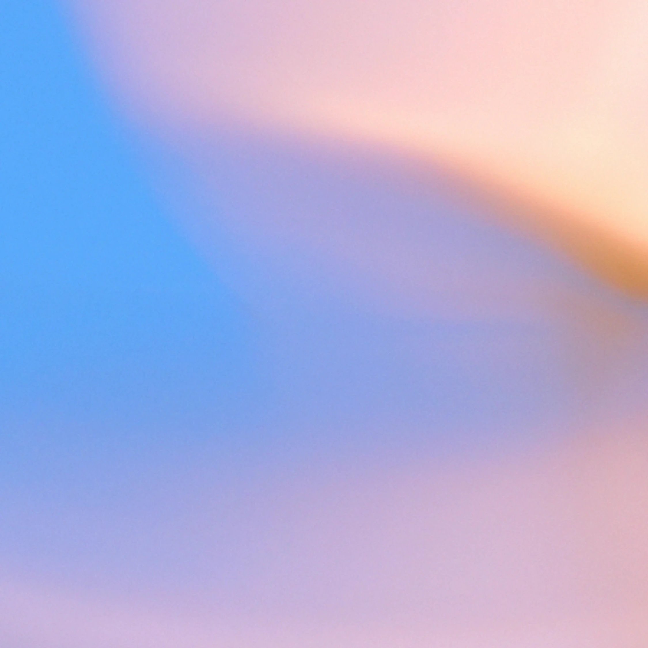 Investing in merge labs 1x1