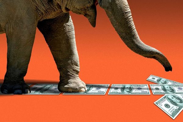 How a $1 Million Donation to Trump Allies Propelled a Georgia Businessman's Political Ascent