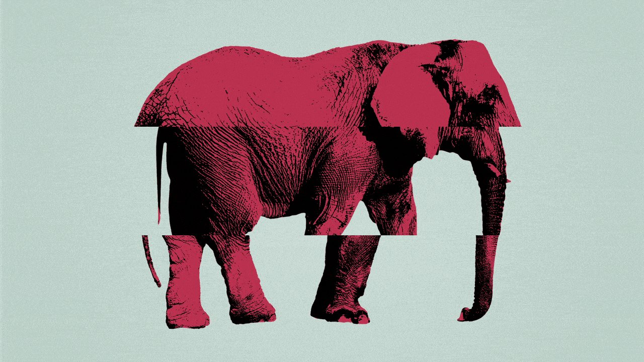 Illustration of top, middle and bottom views of three elephants, making up an image of one elephant and cycling through the different parts.
