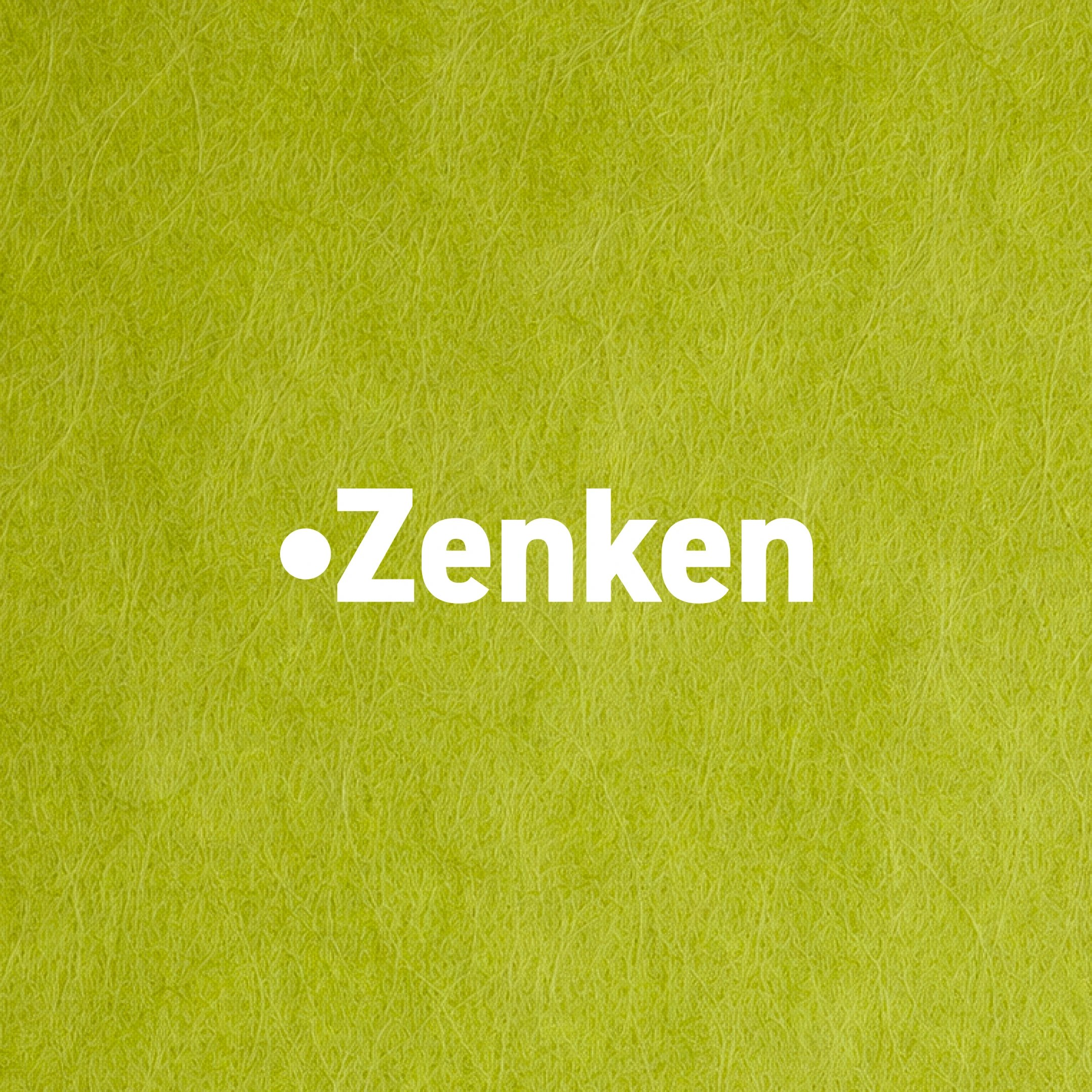 oai Zenken 1x1