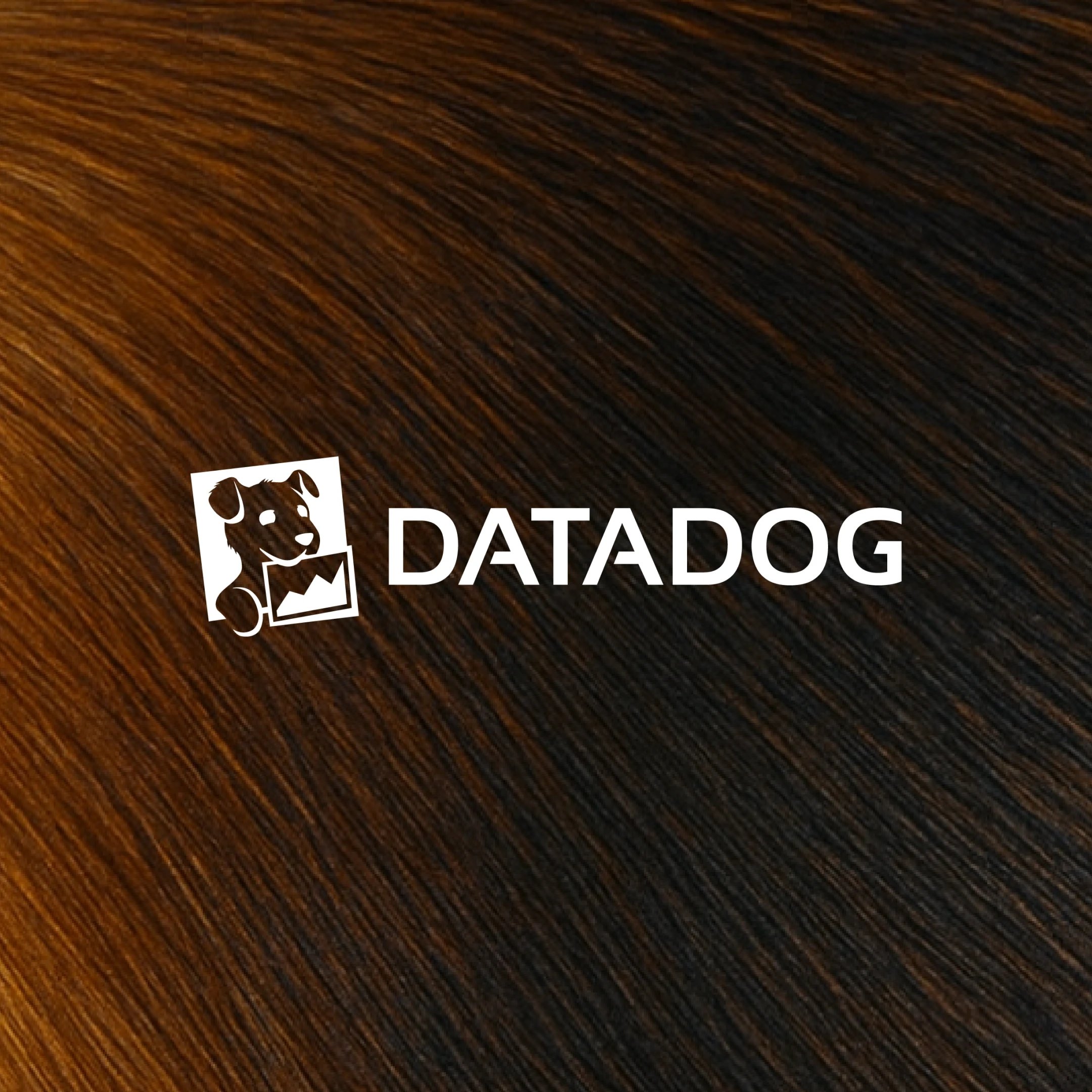 oai datadog 1x1