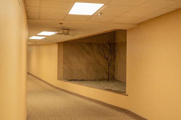 The Rise of Liminal Spaces: How Digital Culture Found Comfort in Uncertain Transitions